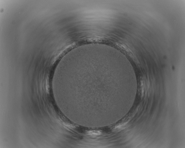 X0000088030508200705182029