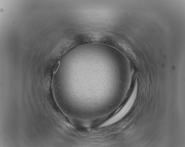 X0000088030509200705182029