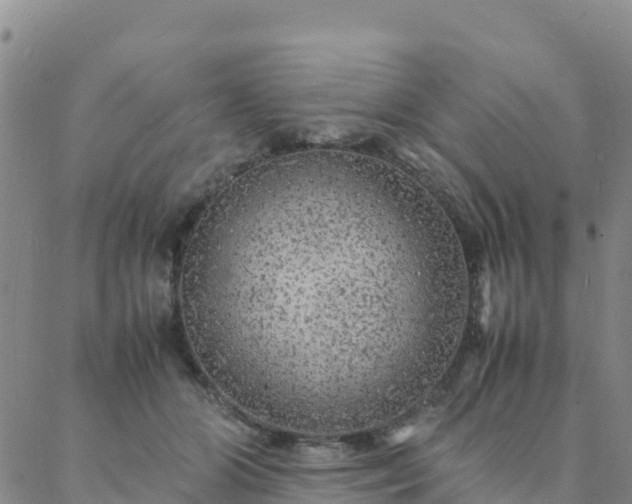 X0000088030510200705182029