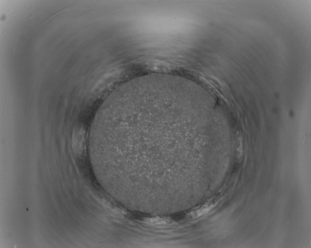 X0000088030511200705182029