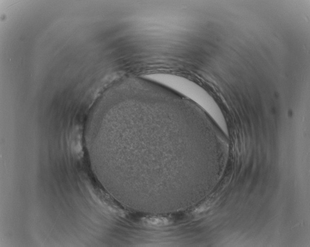 X0000088030512200705182029