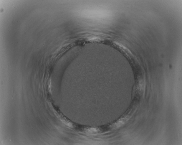 X0000088030513200705182029