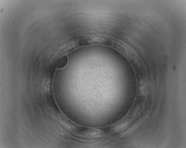 X0000088030514200705182029