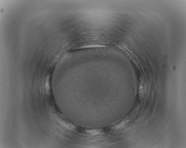 X0000088030516200705182029