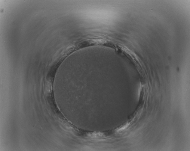 X0000088030517200705182029