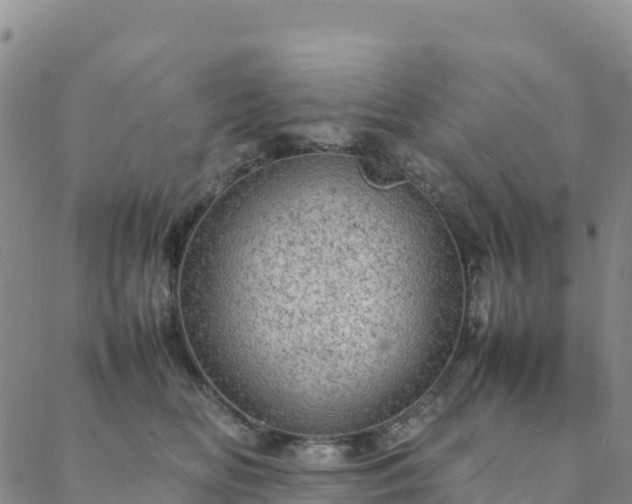 X0000088030518200705182029