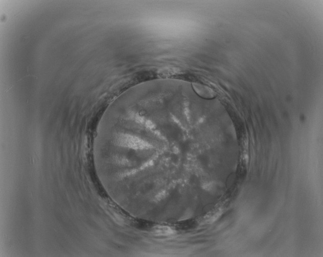 X0000088030519200705182028