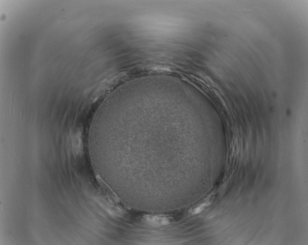 X0000088030520200705182028