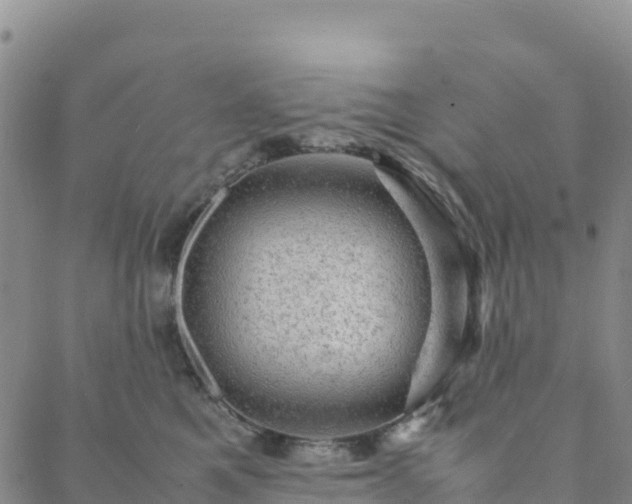 X0000088030521200705182028