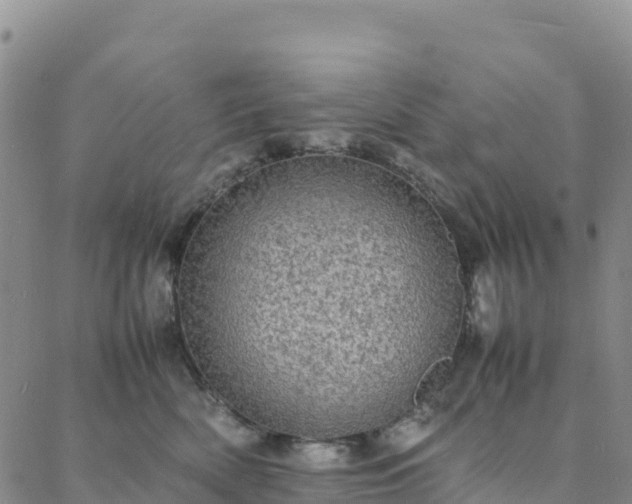 X0000088030522200705182028