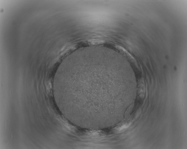 X0000088030523200705182028