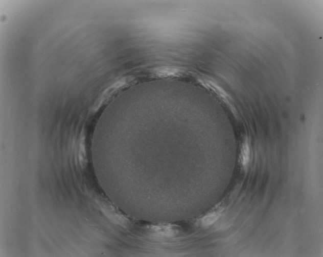 X0000088030524200705182028