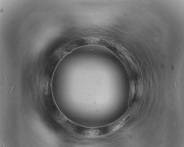 X0000088030525200705182028