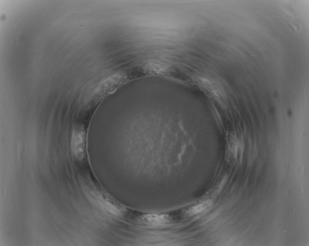 X0000088030526200705182028