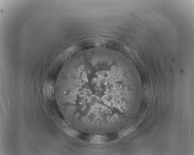 X0000088030527200705182028