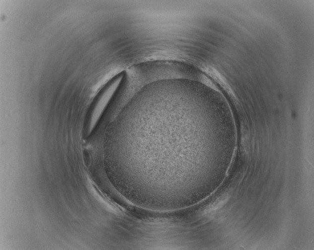 X0000088030530200705182028