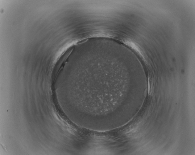 X0000088030531200705182028