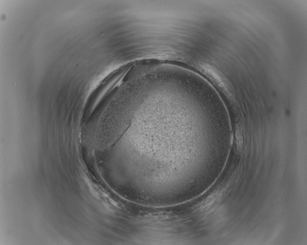 X0000088030532200705182028