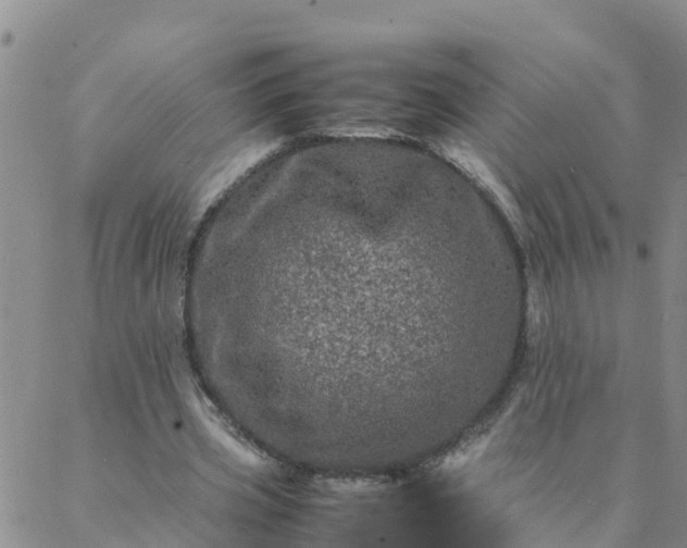 X0000088030533200705182028