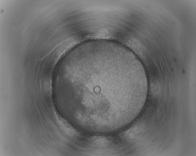 X0000088030534200705182028