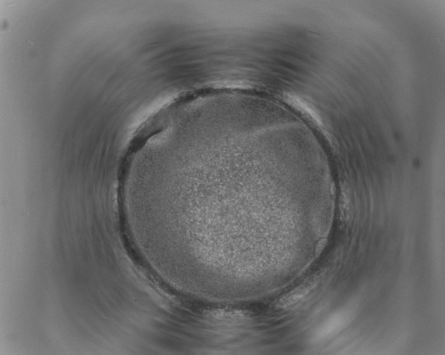 X0000088030535200705182028