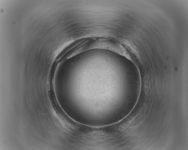 X0000088030536200705182028