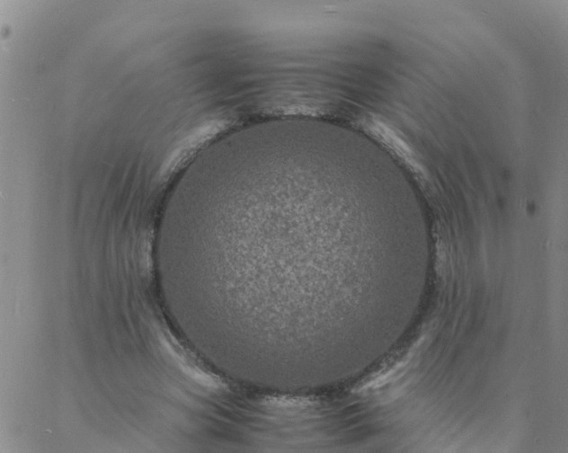 X0000088030537200705182028