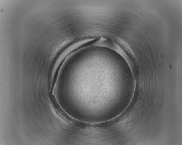 X0000088030538200705182028