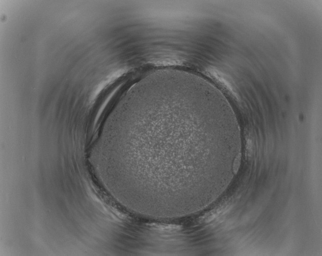 X0000088030539200705182028