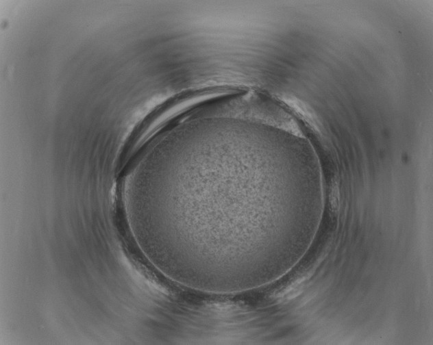 X0000088030540200705182028