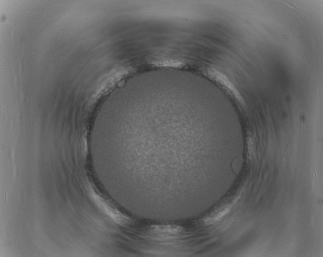 X0000088030541200705182028