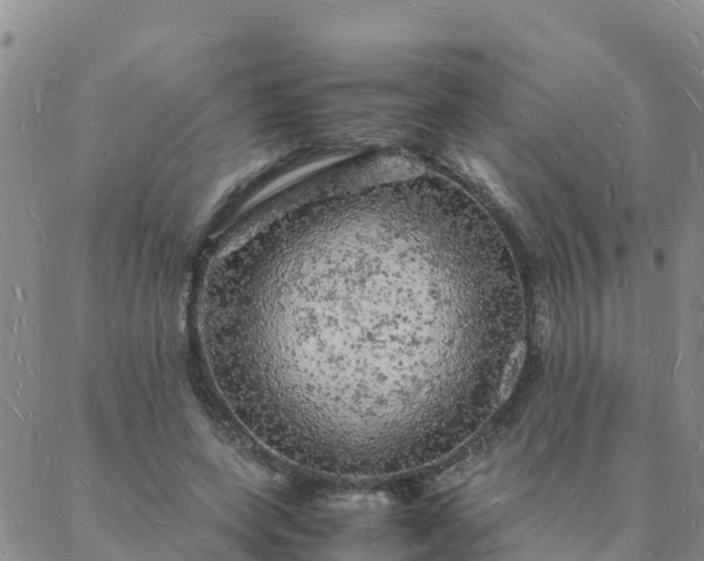 X0000088030543200705182028