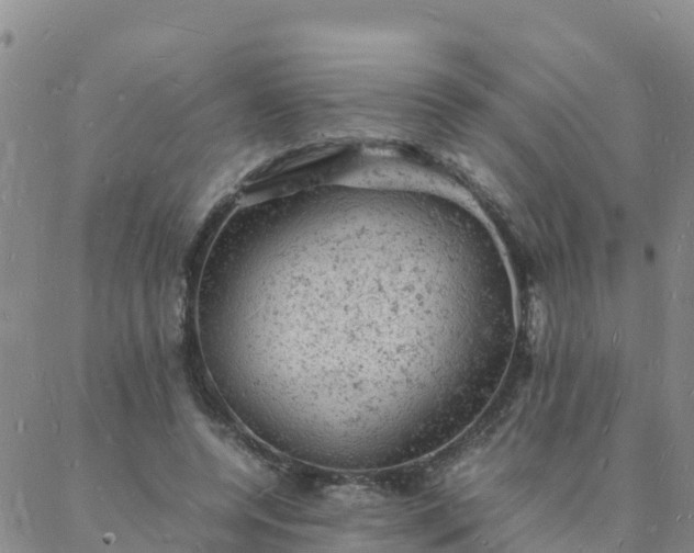 X0000088030544200705182028