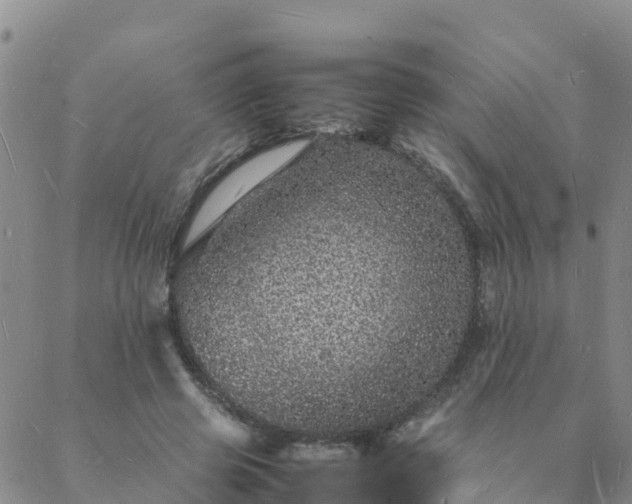 X0000088030545200705182028