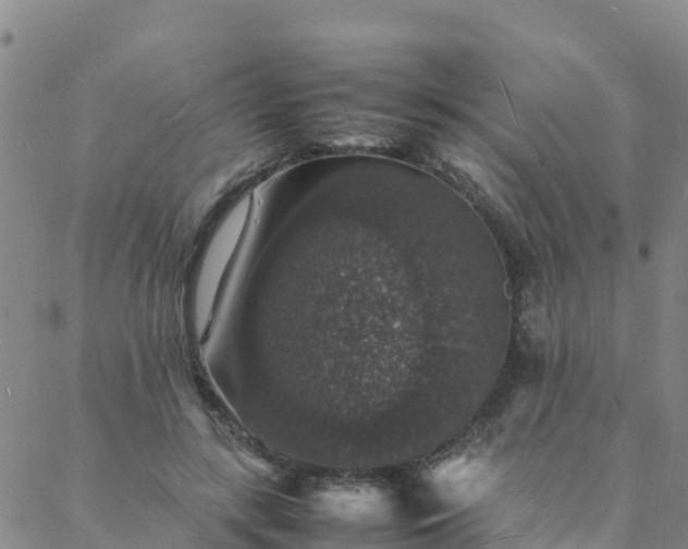 X0000088030547200705182028