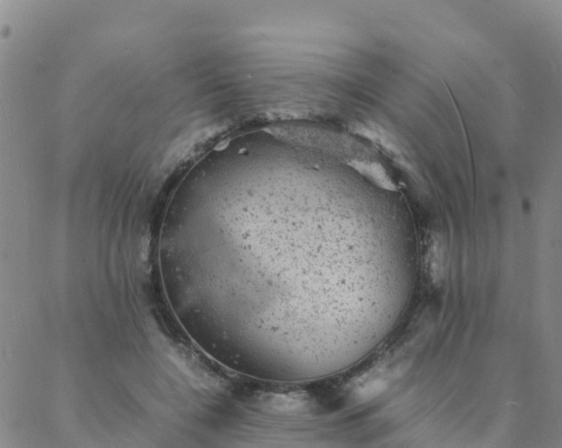 X0000088030548200705182028