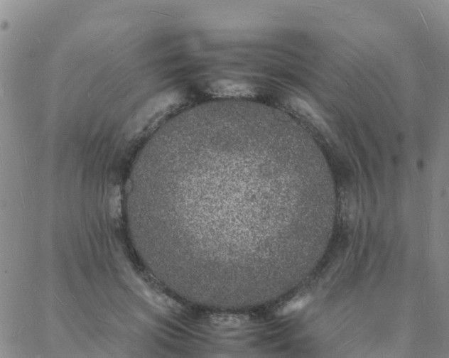 X0000088030549200705182028