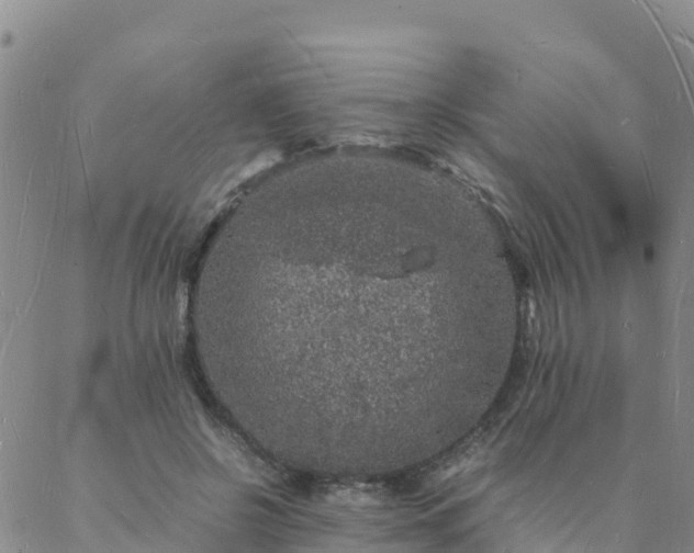 X0000088030550200705182028