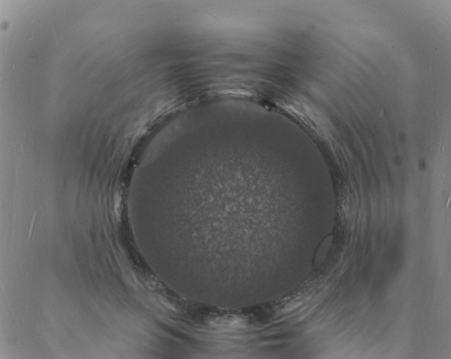 X0000088030551200705182028