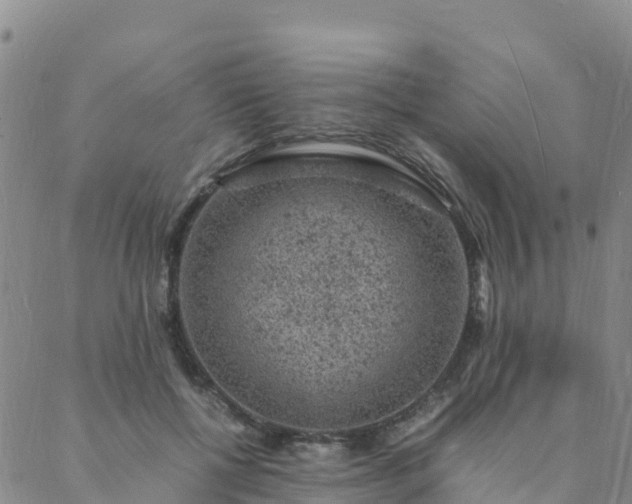 X0000088030552200705182028