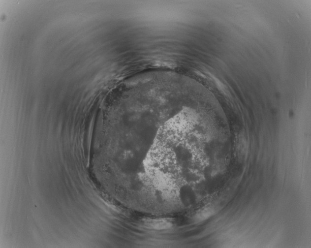 X0000088030553200705182028