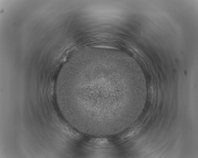 X0000088030554200705182028