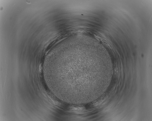 X0000088030555200705182028