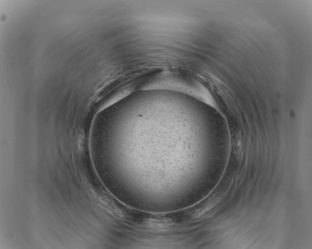 X0000088030556200705182028