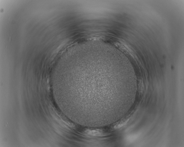 X0000088030557200705182028