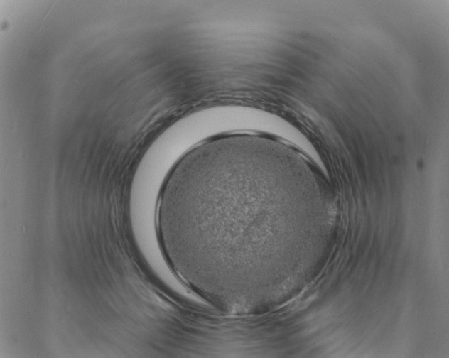 X0000088030558200705182028