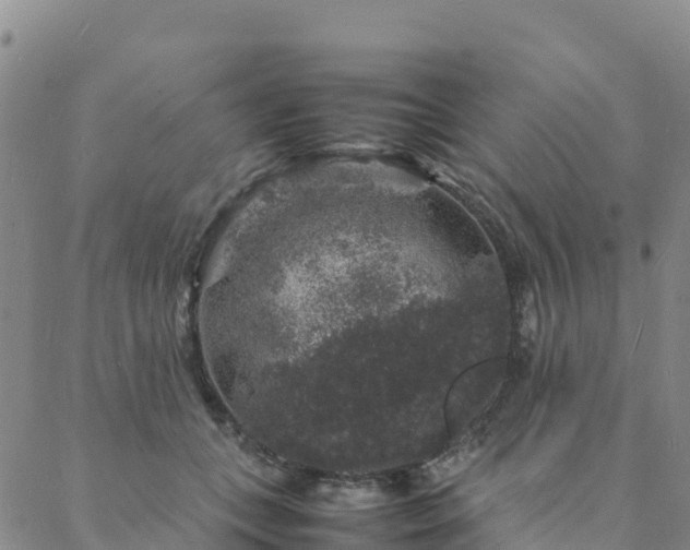 X0000088030559200705182028