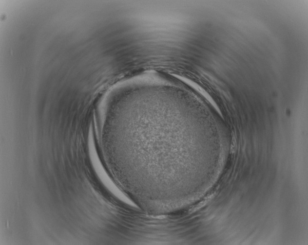 X0000088030560200705182028