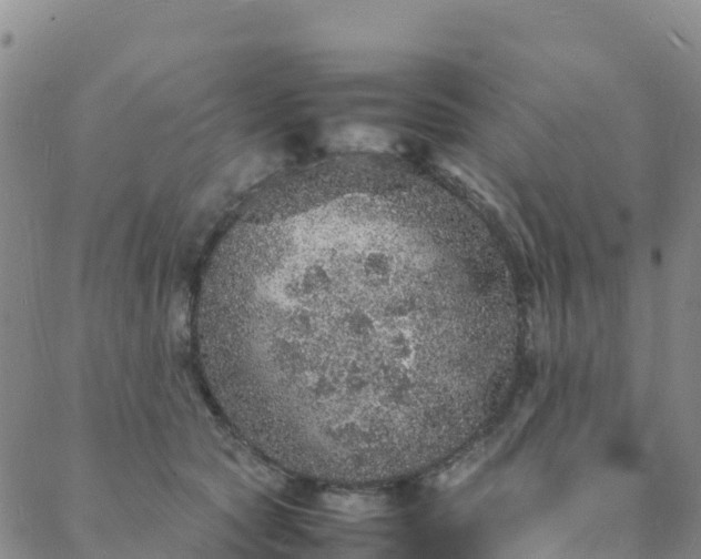 X0000088030561200705182028