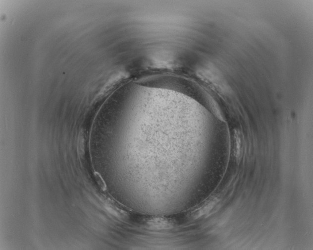 X0000088030562200705182028